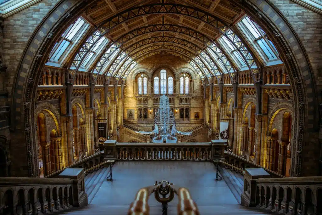 4 Free Museums in London You Must See Inside Hintze Hall in Natural History Museum, one of the most fascinating free museums in London. A huge blue whale skeleton can be seen hanging from the ceiling.